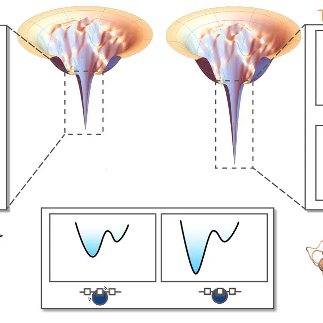 Unraveling the Interplay between Stability and Flexibility in Design of Polyethylene Terephthalate (PET) Hydrolases